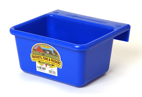 Little Giant Mini Feeder 6 qt Blue