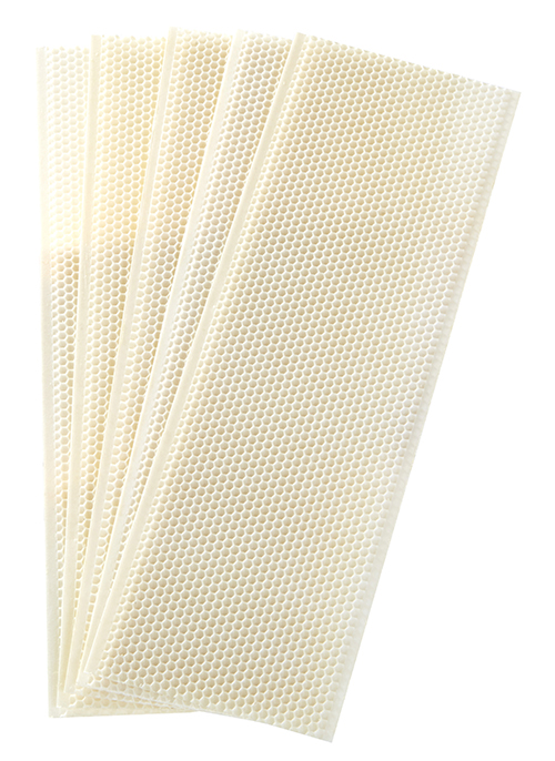 Little Giant Bee Plastic Foundation w Medium Wax 5count