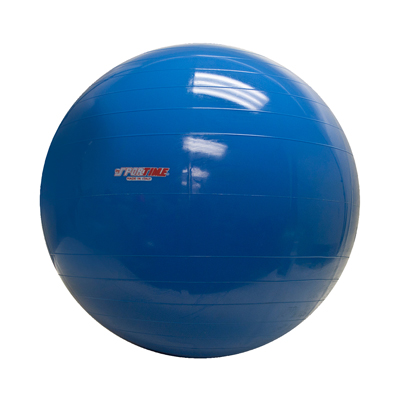 PhysioGymnic Inflatable Exercise Ball - Blue - 34" (85 cm)
