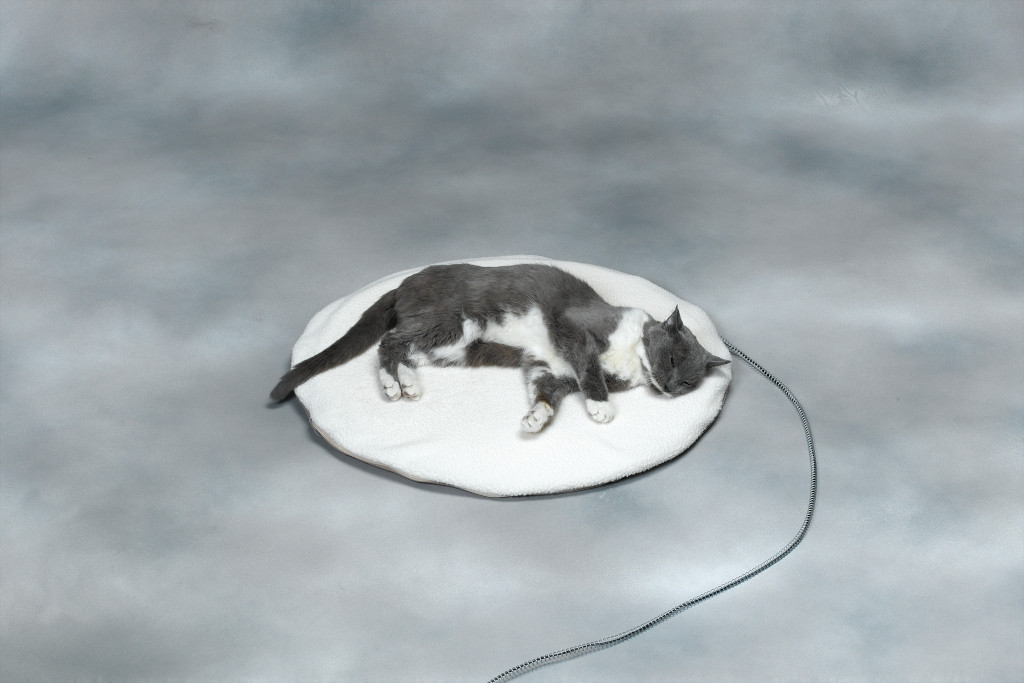 Round Heated Pet Bed