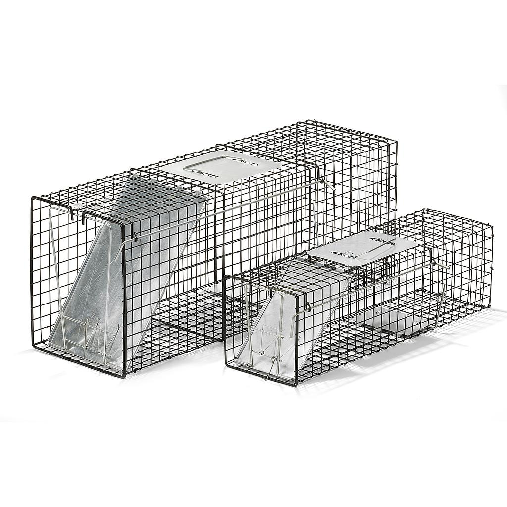 Economy Live Trap