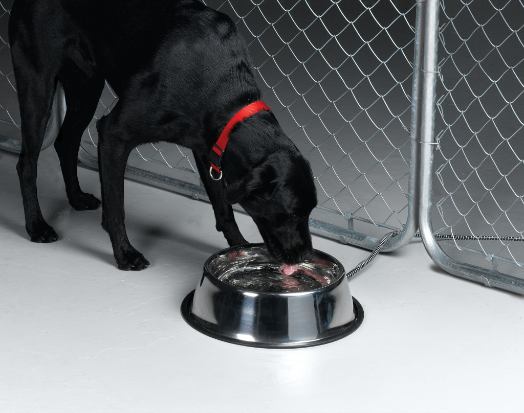 5 Quart Stainless Steel Heated Pet Bowl