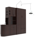 ADS Dental, Cabinet Mount Whale LED Dental Light