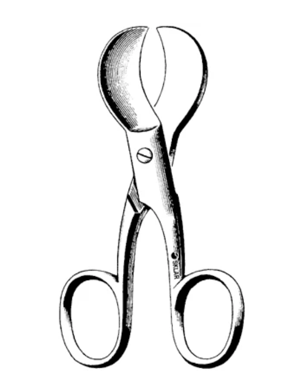 Sklar Instruments Umbilical Scissor, 4in