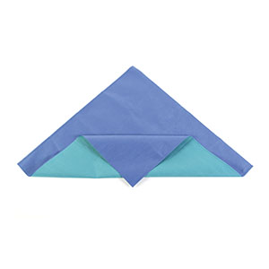 Cardinal Health Wrap, Sterilization, CH600, 54 x 72, Two-Color, Blue/Green, SMS
