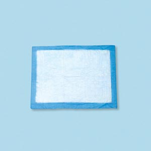 Underpad, Fluff & 2-Ply Tissue Filled, 30 gram, 22" x 24", 50/pk, 4 pk/cs