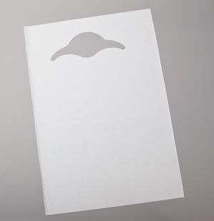 Bib, 18" x 30", Economy Slipover, White