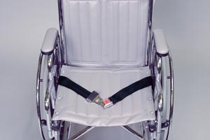 Accessories: Mobile Chair Belt Sensor