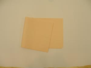 Drape Sheet, 40" x 48", Peach, 2-Ply Tissue, Latex Free (LF)