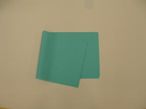 Drape Sheet, Poly, 2-Ply, 40" x 48", Teal