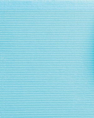 Crosstex International Towel, 2-Ply Paper, Poly, 19" x 16", Blue