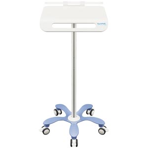 WorkFlo Roll Stand, Fixed Height, Laptop Security Bracket, Locking Casters