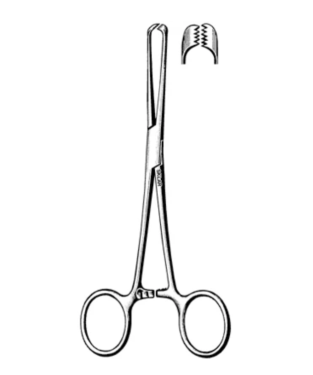Allis Tissue Forcep, OR Grade, Stainless Steel, Nonsterile, Straight, 5x6 Teeth, 6", Ratchet Lock Finger Ring Handle