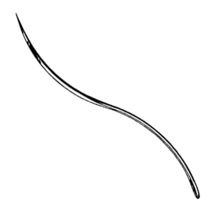 Post Mortem Needle, Double Curved, #2, Stainless Steel, Disposable, Non-Sterile, Latex-Free, 12/pk