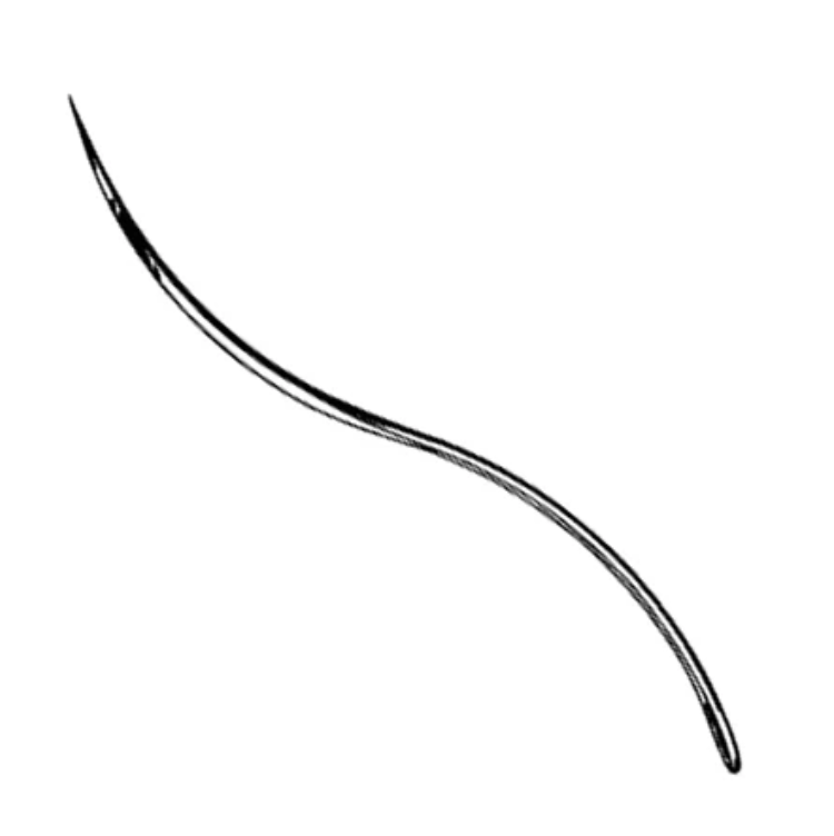 Post Mortem Needle, Double Curved, #3, Stainless Steel, Disposable, Non-Sterile, Latex-Free, 12/pk