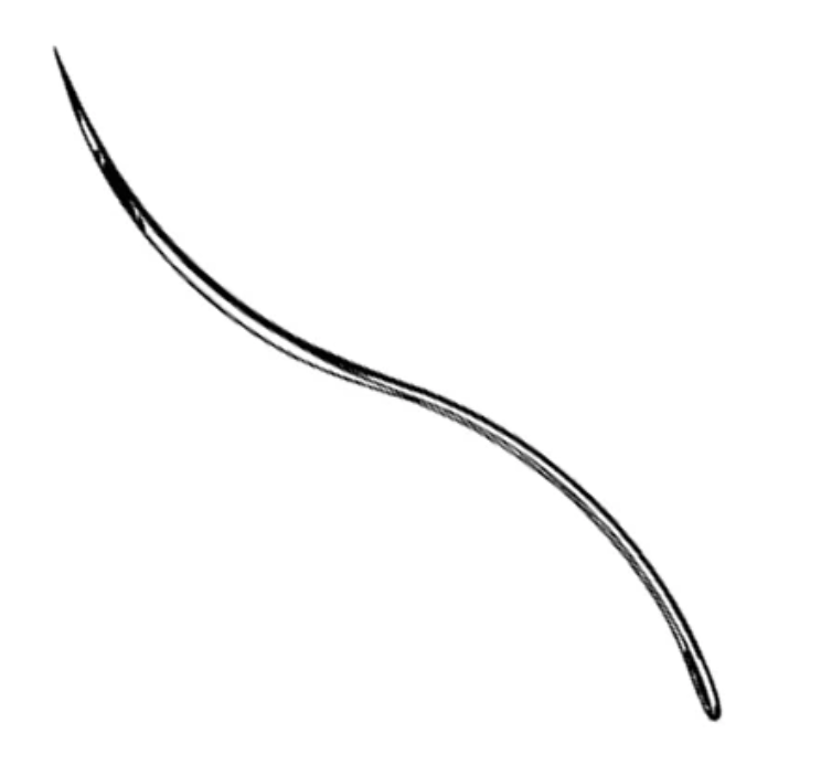 Post Mortem Needle, Double Curved, #4, Stainless Steel, Disposable, Non-Sterile, Latex-Free, 12/pk