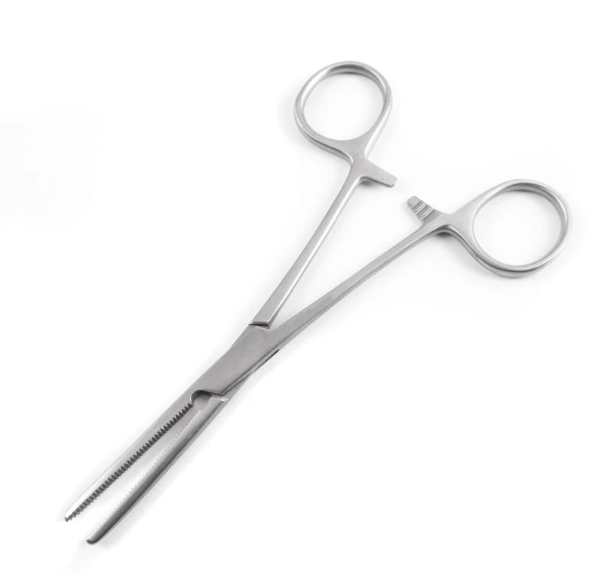 Merit Rochester-Pean Forceps, 6 1/4", Straight, Serrated, Stainless Steel, Reusable, Non-Sterile