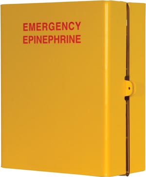Epipen Injector Dispenser, Holds Up to (1) EpiPens, Dual-Sided Clear PETG Plastic Door Sleeve For Identification Signage, Tab on Front For Lock Placement, Handle on Back, Keyholes For Wall Mounting, Yellow Sintra & Clear PETG Plastic, 9½"W x 11 3/16"H x 4 5/8"D