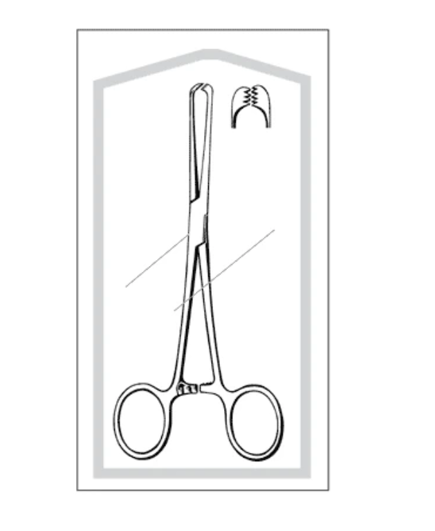 Sklar Econo Sterile Allis Tissue Forceps, 6", 4x5 Teeth, Disposable, 50/cs