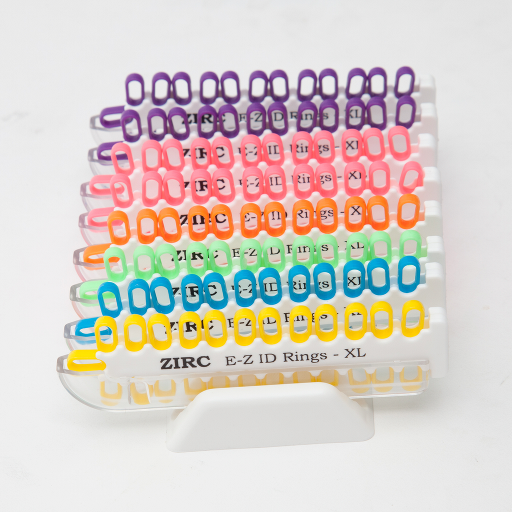E-Z ID Rings System XL - Assorted Vibrant