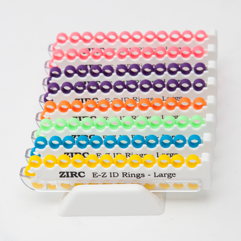 E-Z ID Ring System Large - Assorted Vibrant