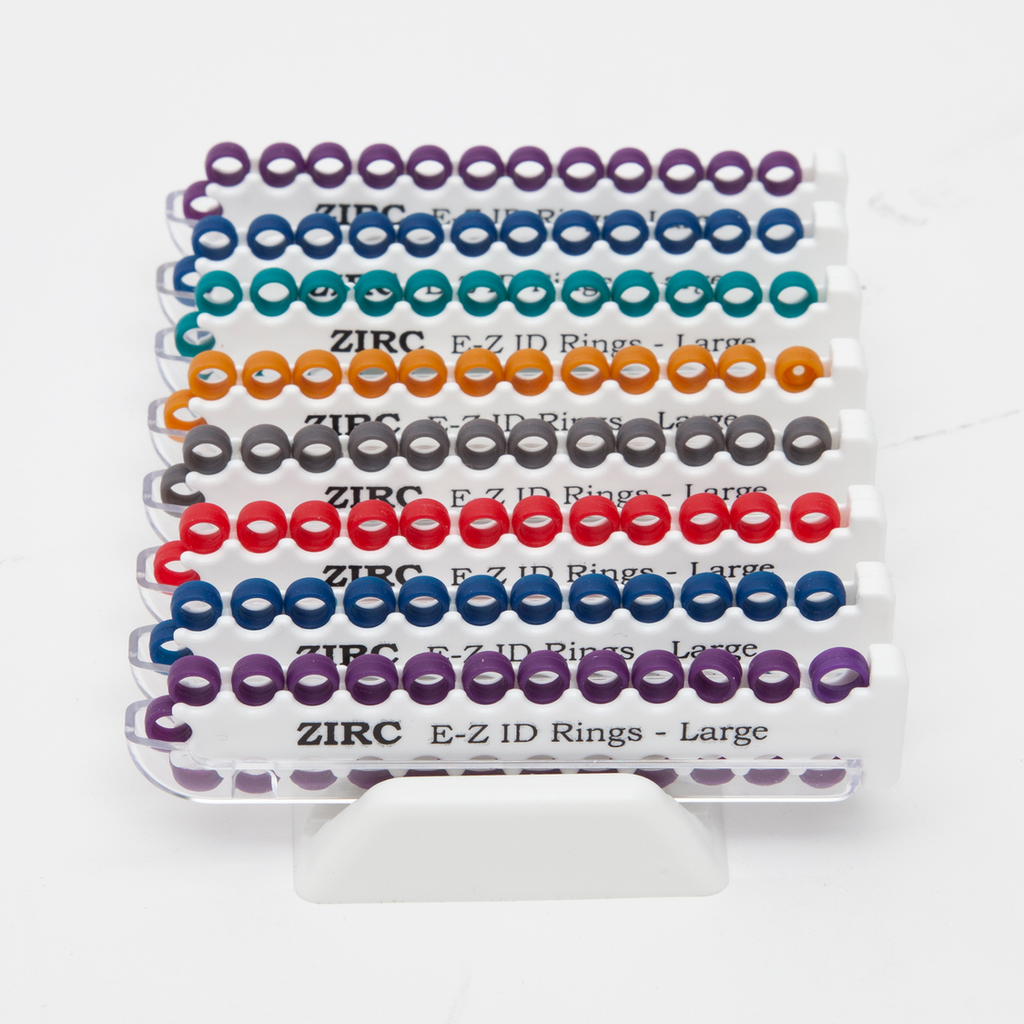 E-Z ID Ring System Large - Assorted Jewel