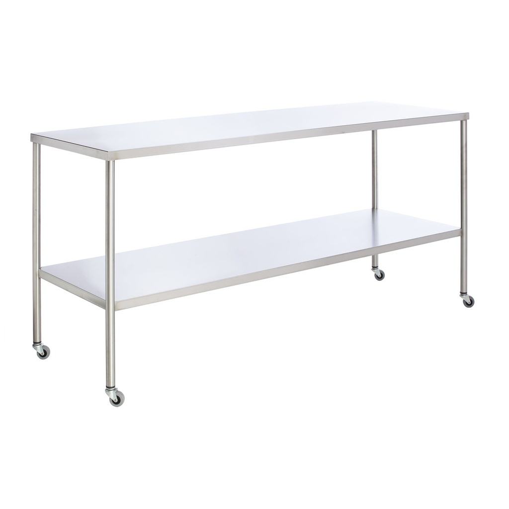 Instrument Table with Shelf, Stainless Steel, 24" x 60"