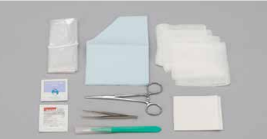12 Piece Incision & Drainage Tray, 20/cs