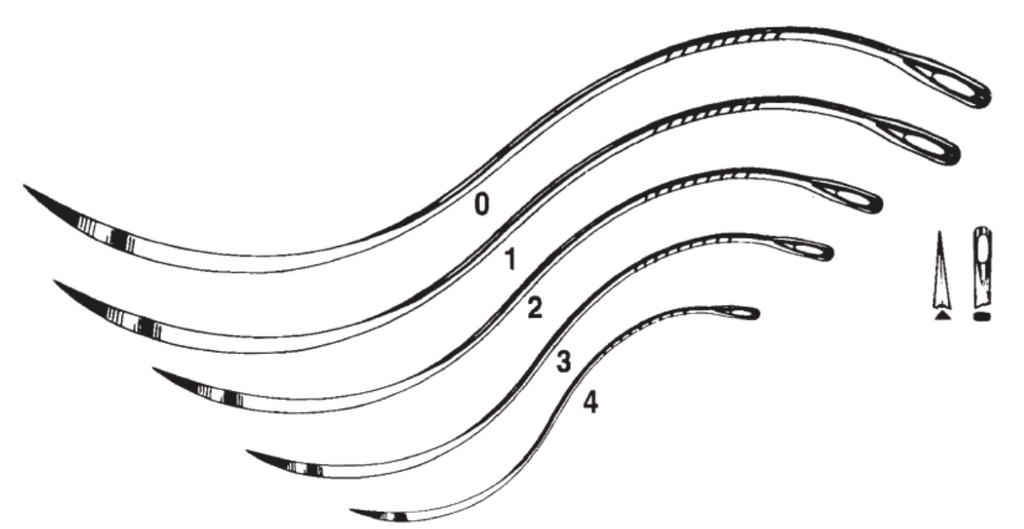 Suture Needle, Size 1, Post Mortem, Curved Cutting, Non-Sterile, 12/pk