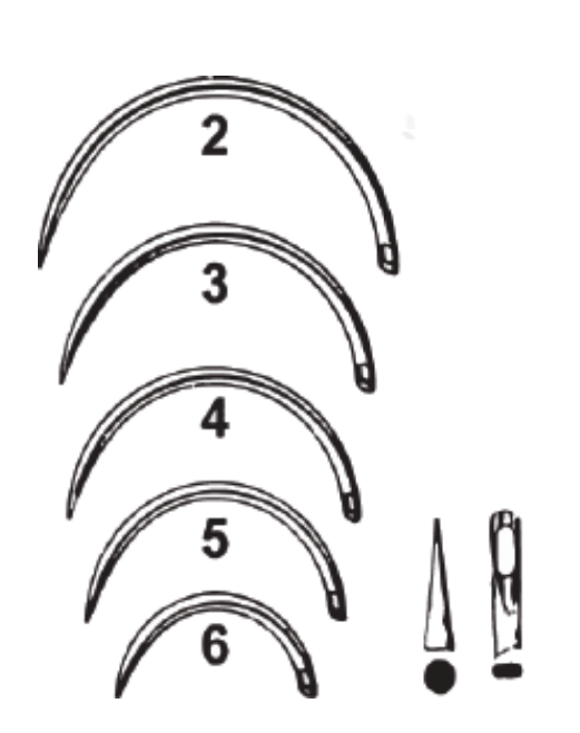 Suture Needle, Size 2, Mayos Catgut, ½ Circle Taper Point, Non-Sterile, 12/pk