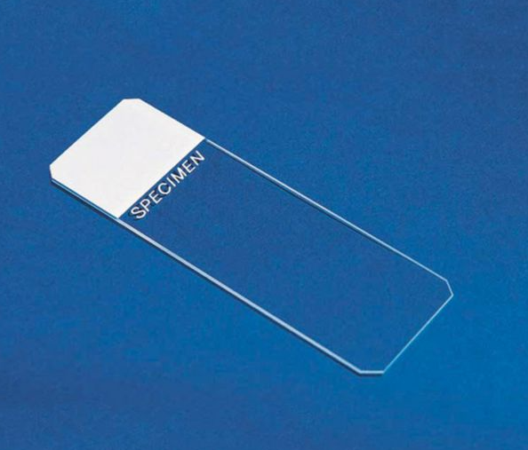 Superfrost Printable Microscope Slides, White Tab, 25mm x 75mm x 1mm, 72/bx, 2 bx/gr, 20gr/cs