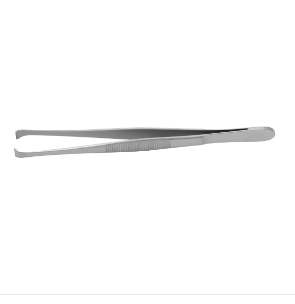 Forcep, Tissue, Martin, Multiple Teeth, 6mm Tip, 6in Length