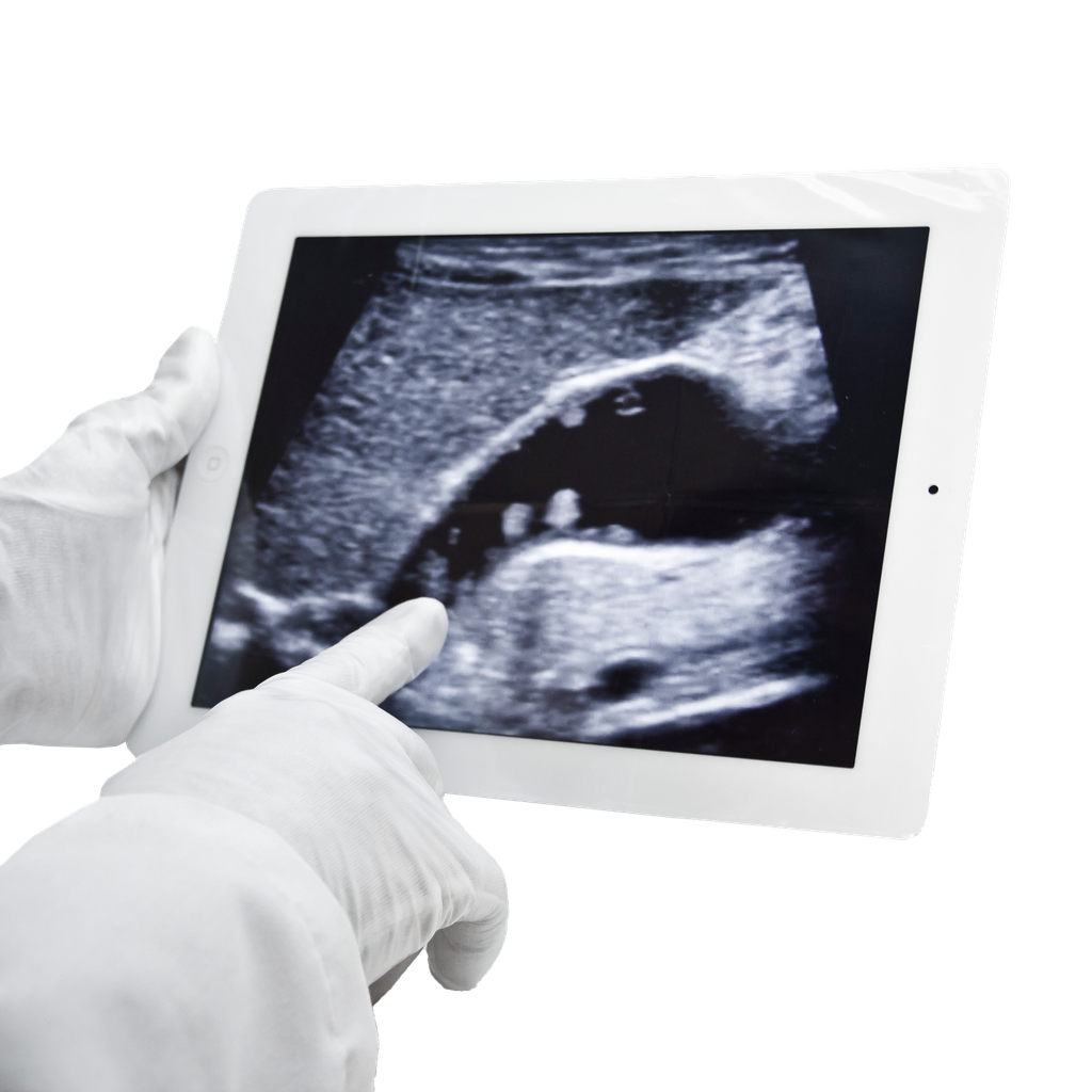 Tablet Cover w/Adhesive Seal, 8" x 10", Sterile, 24/bx