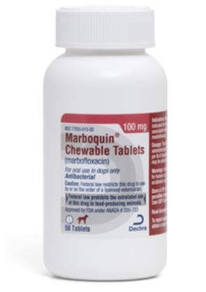 Marboquin Tablets Antibacterial 100mg