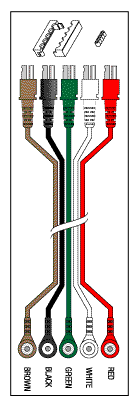 5 Leadwire Set-40" Dual/Snap
