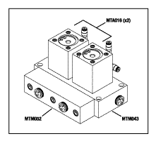 Manifold Assembly (2 Stn)