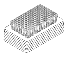 Scrub Brush