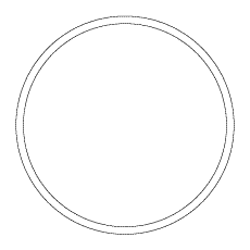 O-Ring