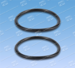 O-Ring