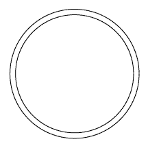 O-Ring
