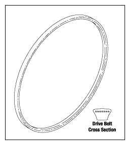 Drive Belt