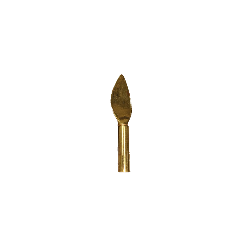 Denture Spoon