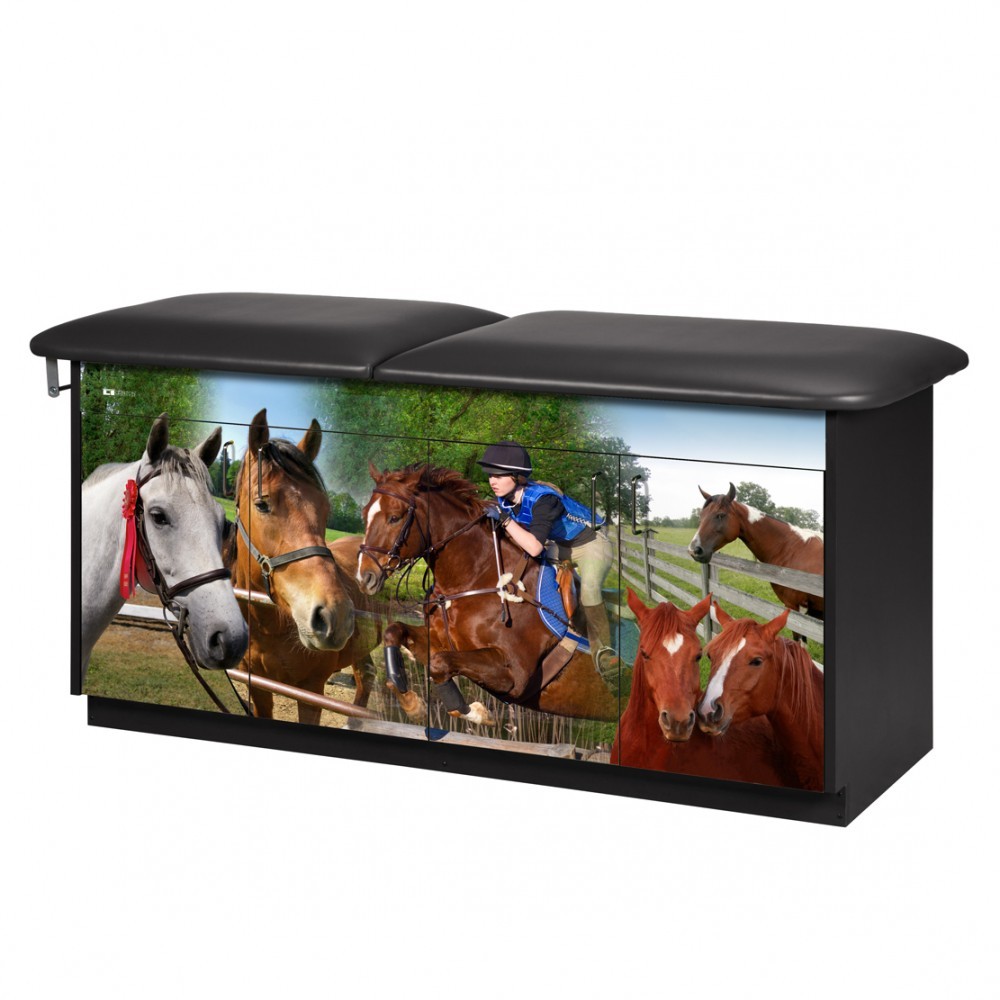 Equestrian treatment table-no adj back