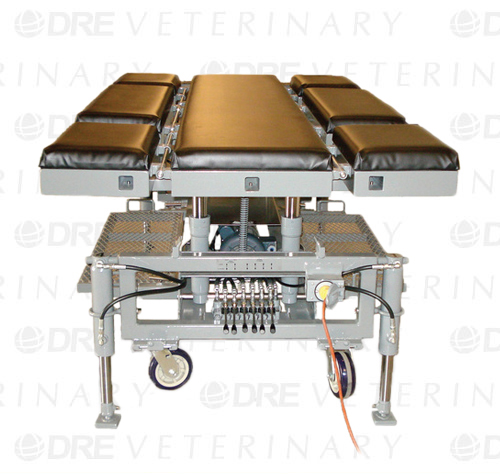 [12102] DRE Veterinary Dorsal/Lateral Cylinder Base Equine Table
