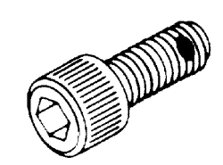 [AMS049] 1/4-28 Socket Head Cap Screw W/ Nylon Pellet