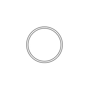 [RPO335] O-Ring - 12 per package