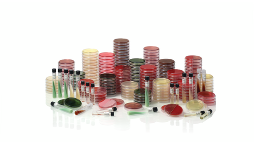 [220971] BD BBL Nutrient Agar Prepared Slants w/ K Tube, Beige, 100/Pack