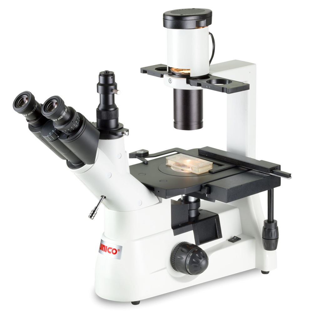 [IV951] Unico Binocular 10X Widefield Eyepiece 4X 10X 20X 40X Plan for IV950 Series Microscope