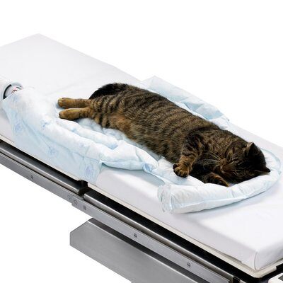 [55577] 3M™ Arizant Bair Hugger™ Animal Health Warming Blanket, Underbody