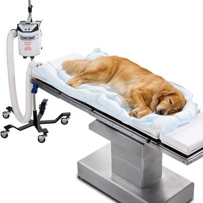 [55077] 3M™ Arizant Bair Hugger™ Animal Health Warming Blanket, Underbody, Long